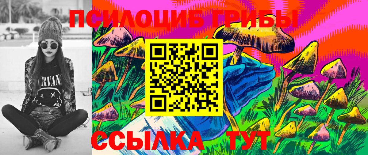 Галлюциногенные грибы Psilocybe Мыски