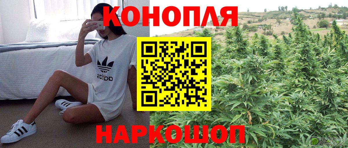 Марихуана сатива Мыски